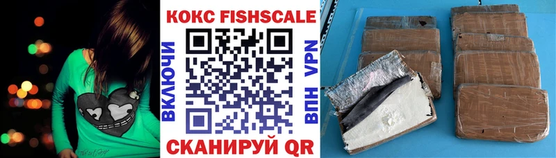 Cocaine FishScale  Купить  Электроугли 