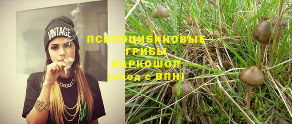 спиды Кулебаки