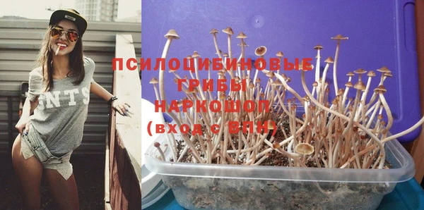 ПСИЛОЦИБИНОВЫЕ ГРИБЫ Кукмор