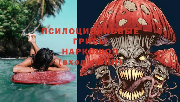 ПСИЛОЦИБИНОВЫЕ ГРИБЫ Кукмор