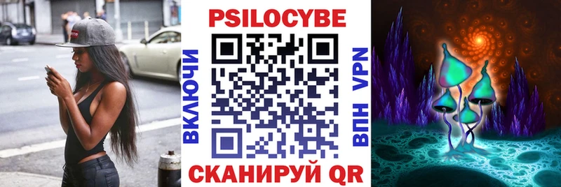 Псилоцибиновые грибы Psilocybe  Купить закладки  Электроугли 